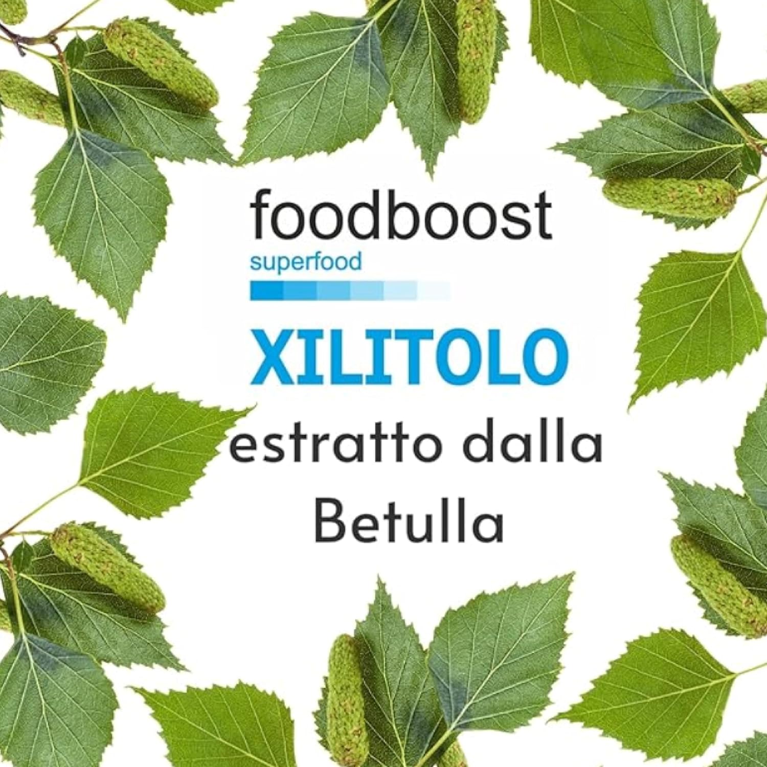 Detalle 2 de Xilitolo Finlandese 1Kg Foodboost – dolcificante 100% naturale di betulla, ideale per diete ipocaloriche