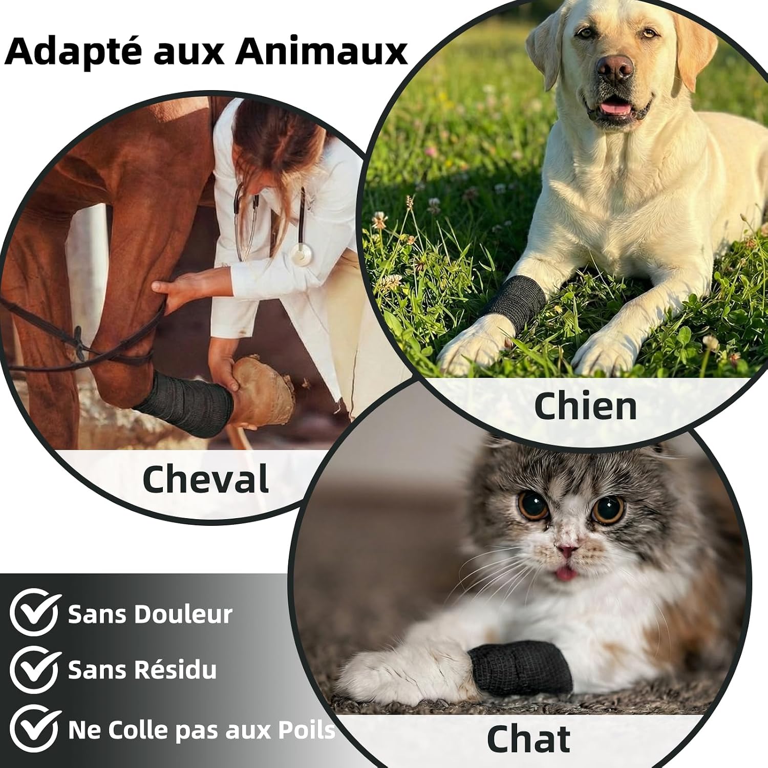 Thumbnail 4 de HONYAO Bande Autoadhésive 16 Rouleaux - 5 cm × 4,5 m, Cohesive pour Humains et Animaux