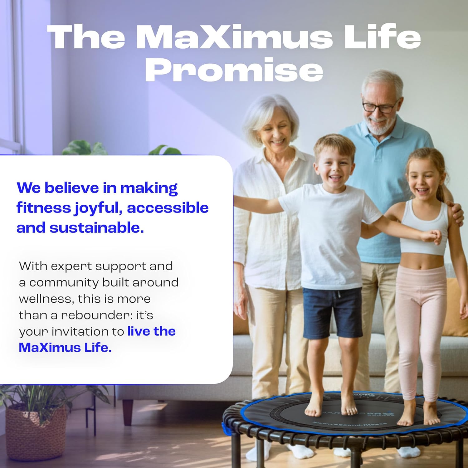 Thumbnail 6 de Maximus Pro Bungee Rebounder: 40'' Mini Trampoline with Silent, Strong Bounce