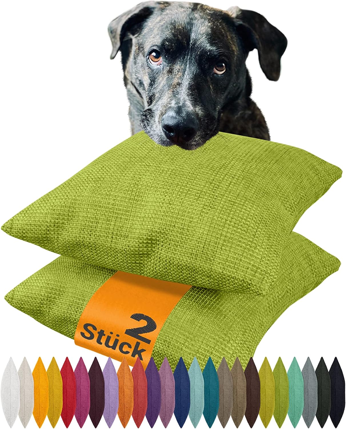 Lot de 2 Housses de Coussin 40x40 cm Vert Clair – Tissage texturé et style raffiné