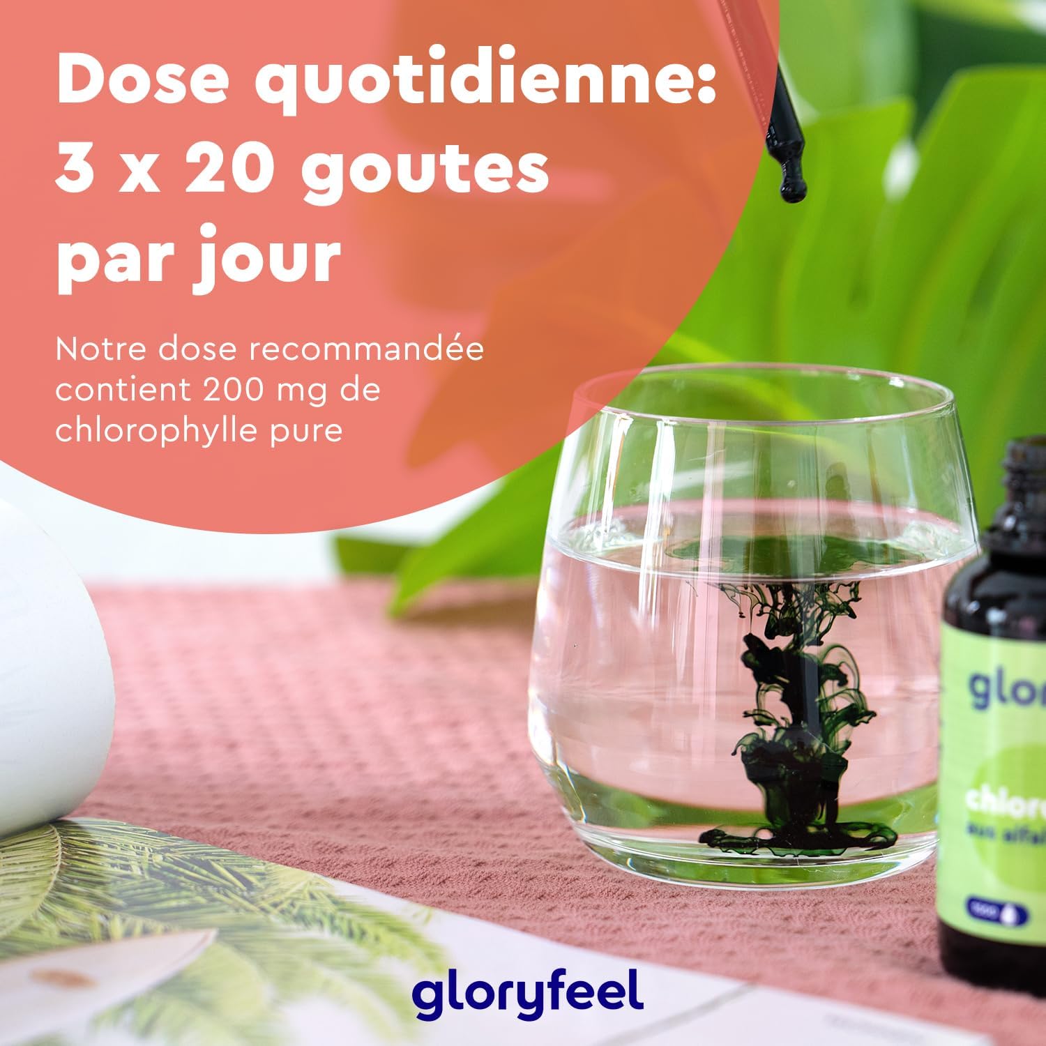 Detalle de Chlorophylle Liquide de Luzerne 50 ml (1500 gouttes) – 200 mg par dose, vegan et sans alcool