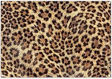 Detalle de Luminora 7x5ft Leopard Skin Pattern Backdrop – 2D Print Safari Photo Background