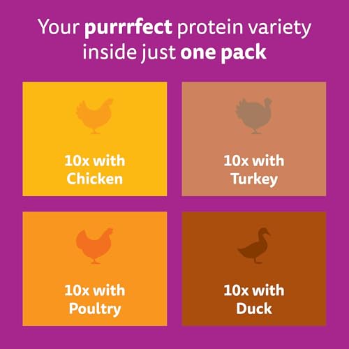 Detalle de Whiskas Adult Wet Cat Food in Jelly Poultry Feasts 40x85g — A practical daily dinner for 1+ cats