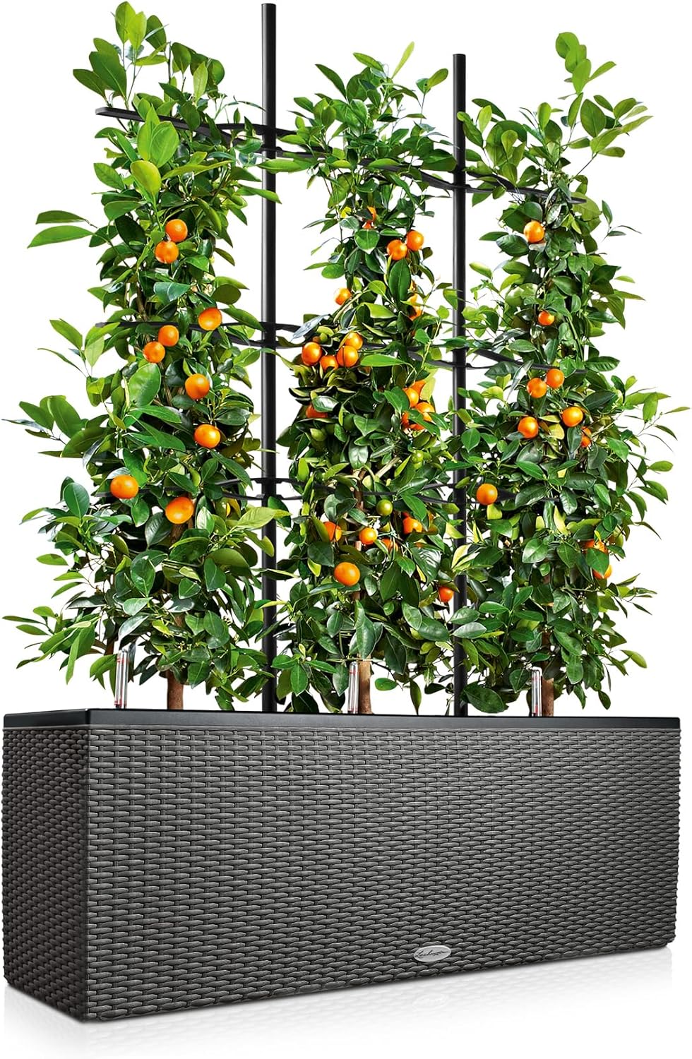 Detalle 2 de Lechuza Trio Cottage 30 Komplettset Granit – 3er Pflanzset mit integriertem Bewässerungssystem