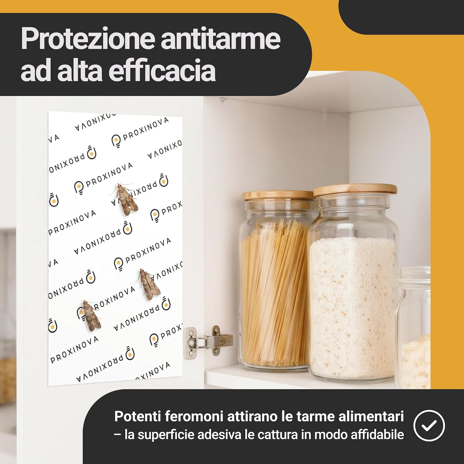 Thumbnail 2 de Proxinova Antitarme Alimentari con 12 Trappole Adesive: feromoni naturali per farfalline, Made in Germany