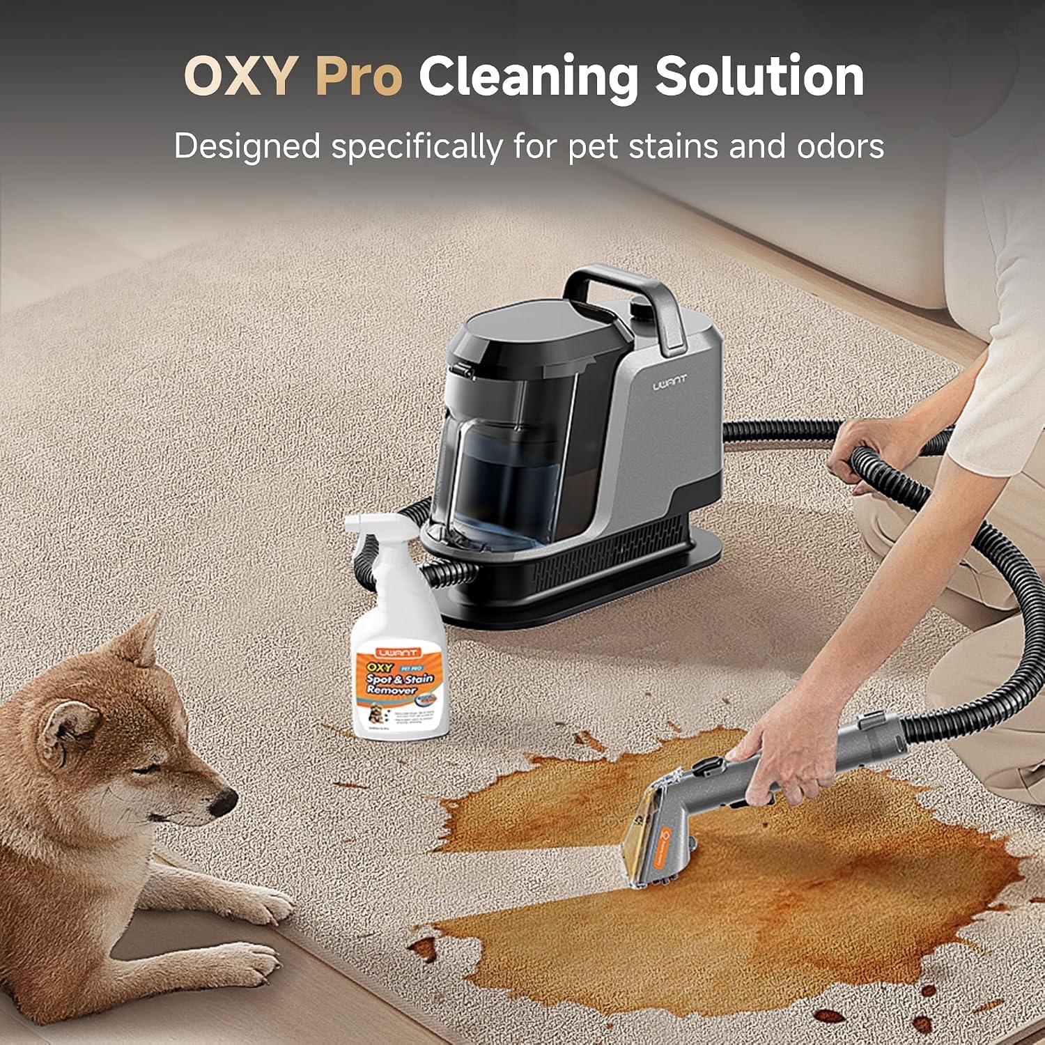Detalle de uwant Y100STEAM Portable Carpet Cleaner with Steam, Hot Water and 18KPa Suction