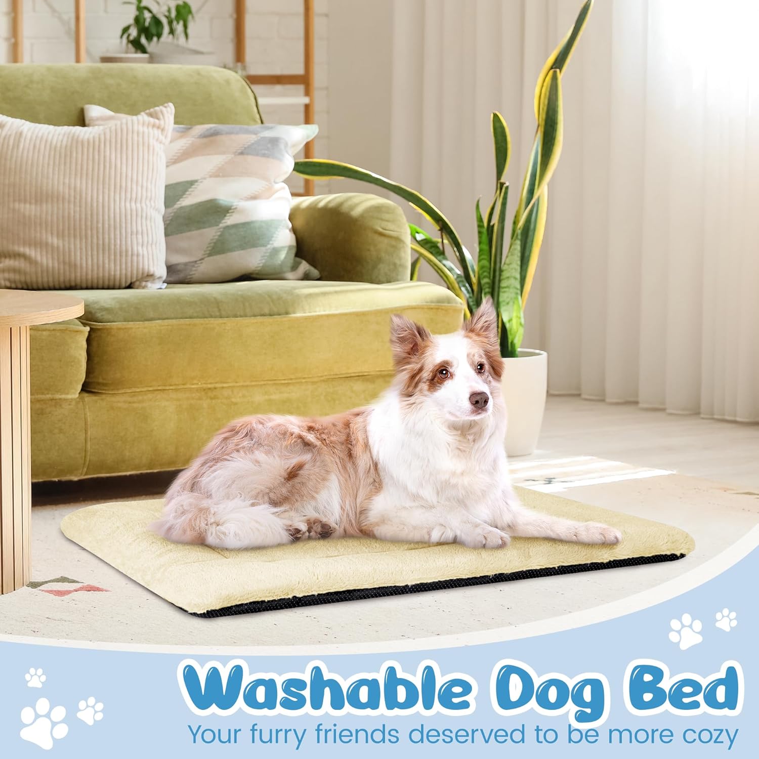 Thumbnail 5 de BaoDan Cuccia Cane Interno Taglia Grande 106x71 cm con base antiscivolo, beige