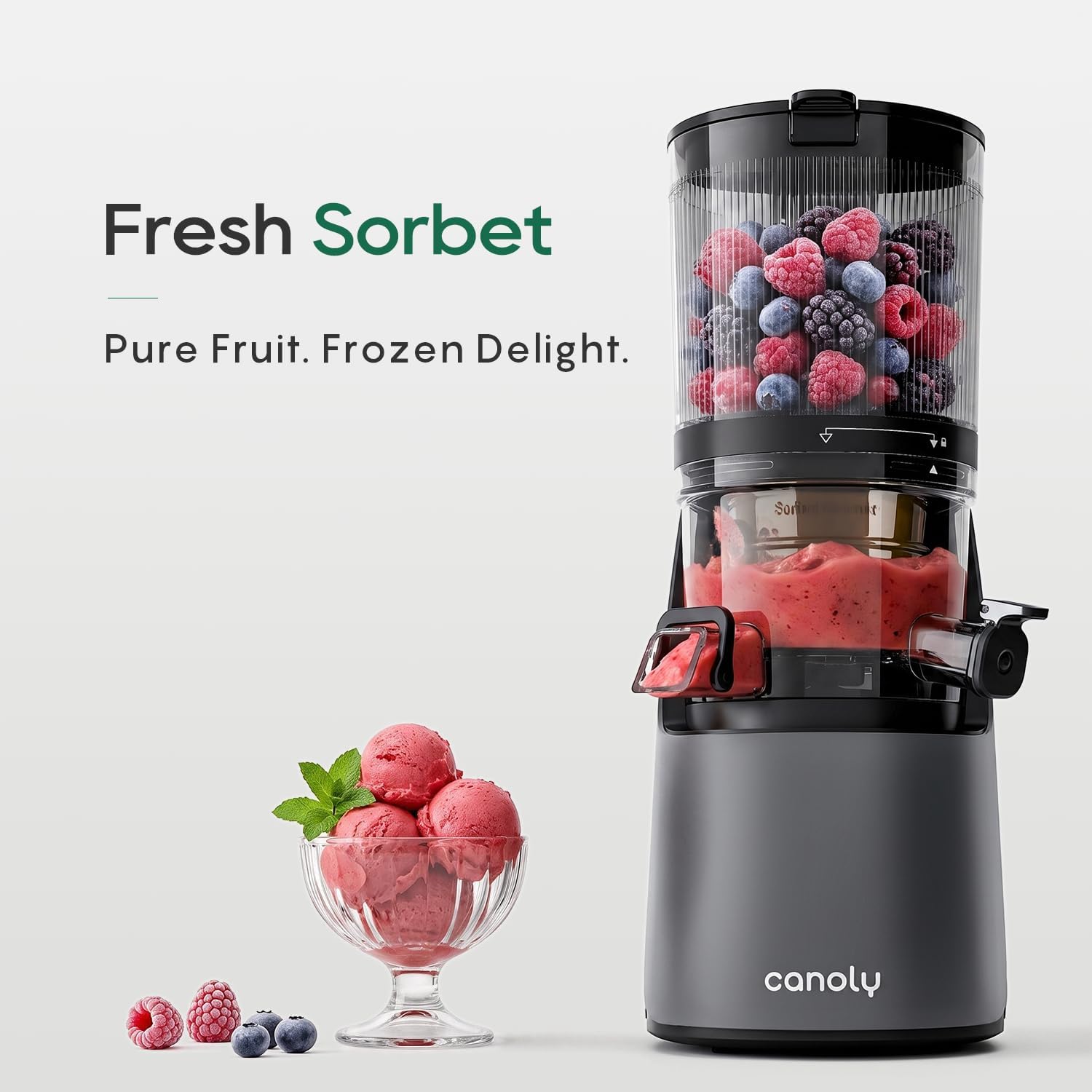 Thumbnail 6 de Canoly C16 Cold Press Juicer 6" Feed
