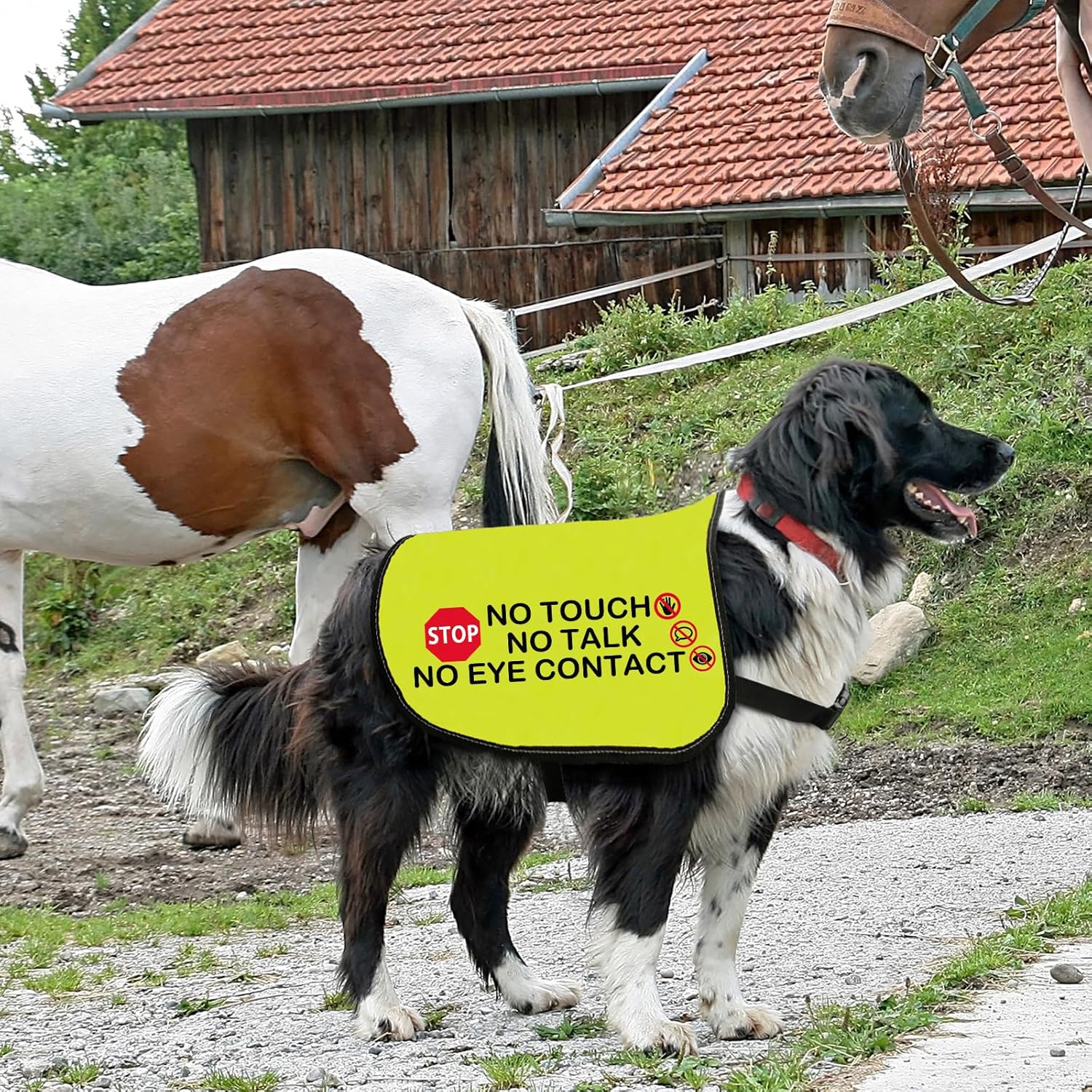 Thumbnail 5 de No Eye Contact Dog Jacket Vest Medium