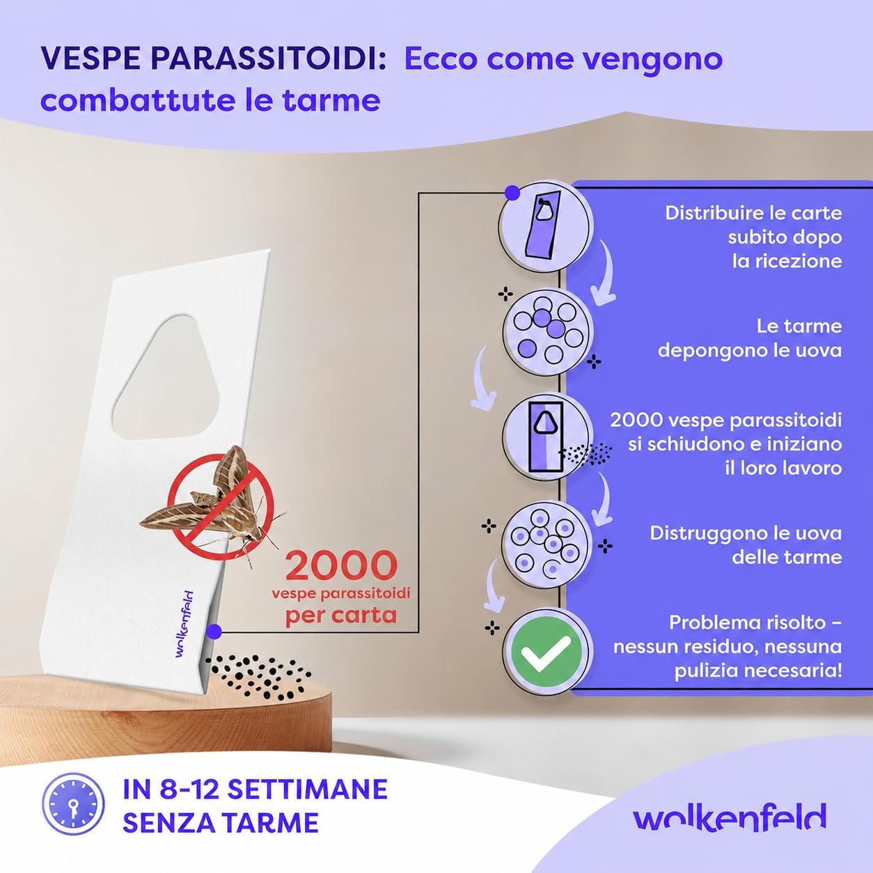 Detalle 2 de Wolkenfeld Vespe parassitoidi contro le tarme alimentari – 4 carte, 1 mq di azione naturale