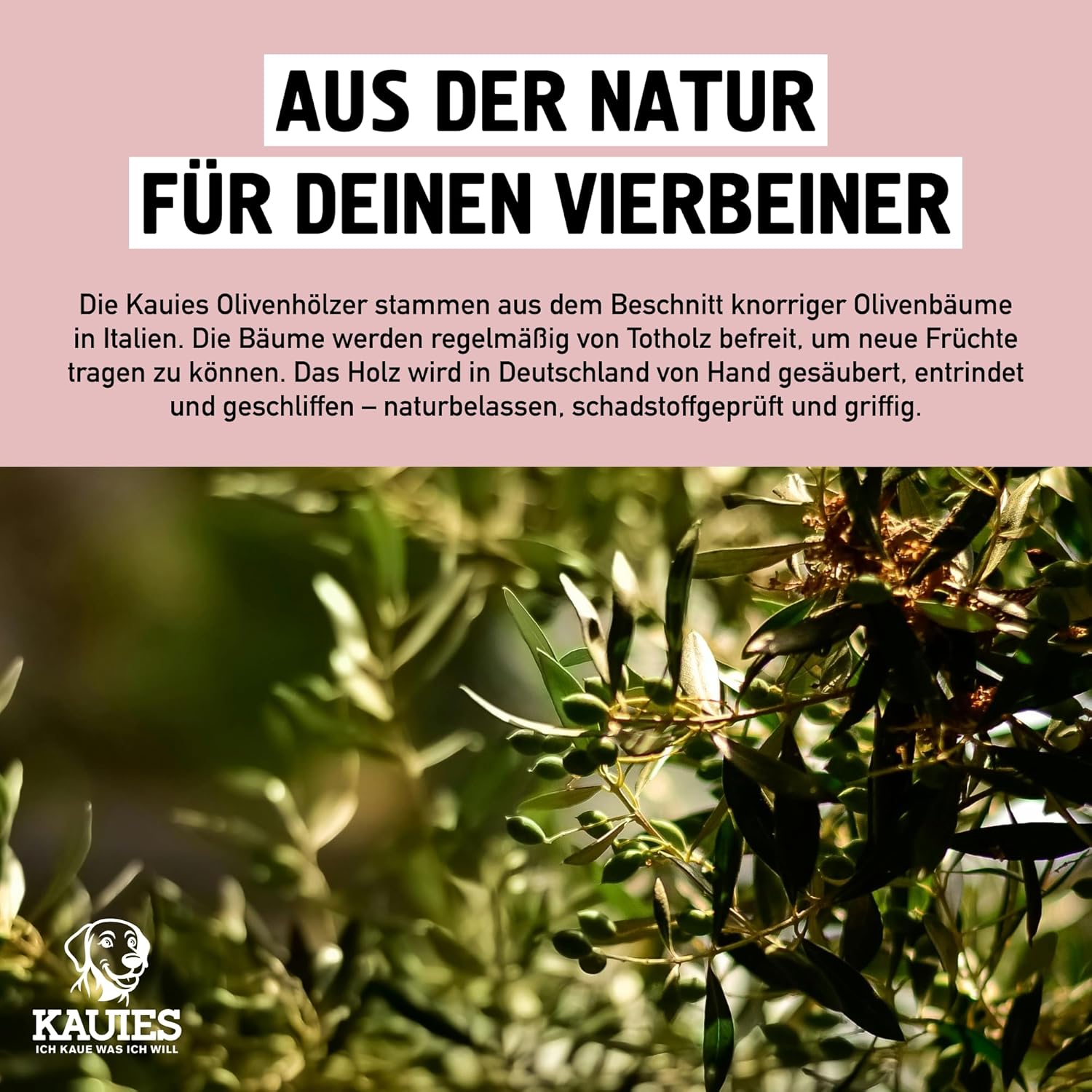 Thumbnail 4 de Kauies Olivenholz Kaustab für Hund mit Olivenöl (vegan, kalorienfrei) – 2er Pack, Größe S bis 10 kg