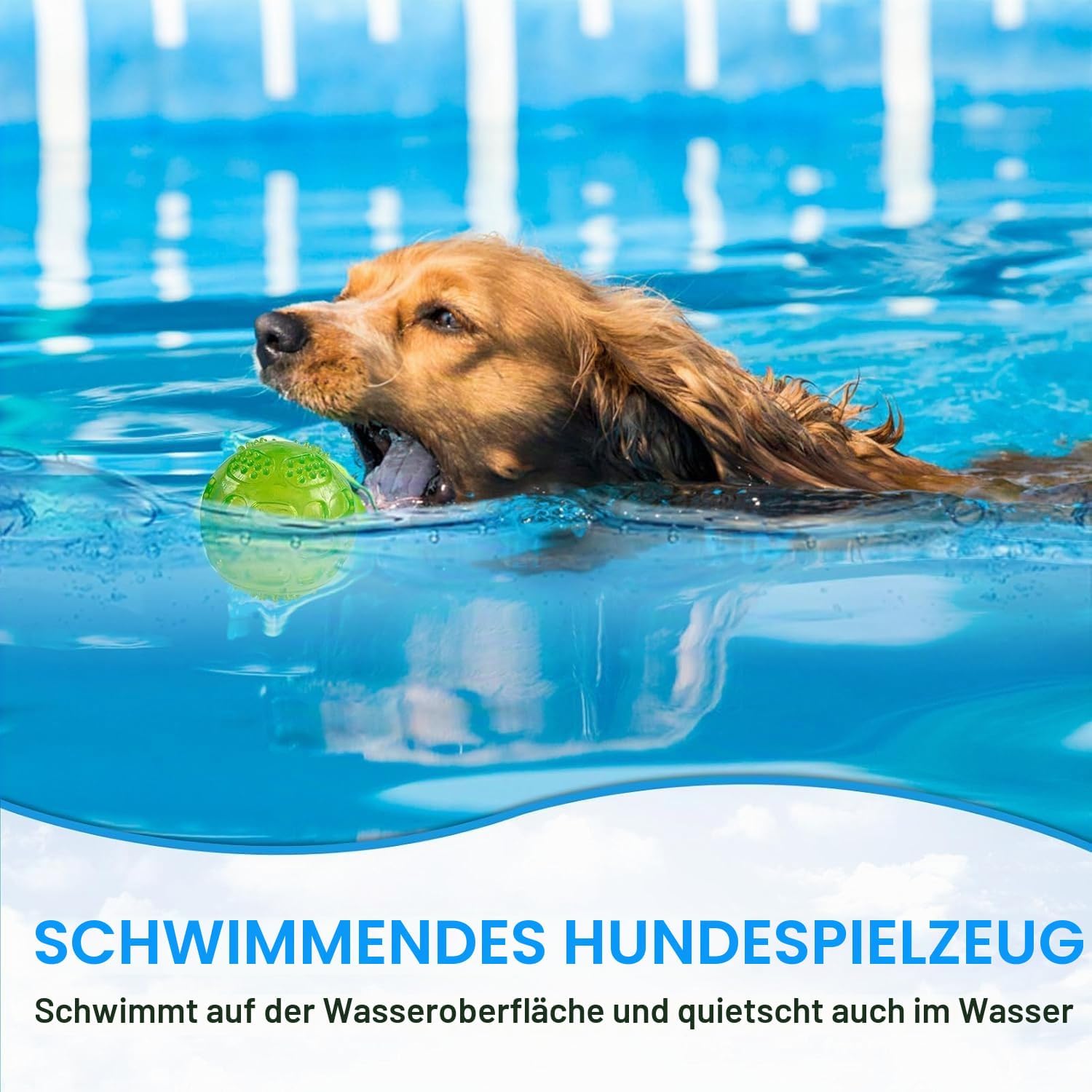 Detalle 2 de PETTOM Quietschball Set 3er-Pack – Unzerstörbar, schwimmfähig, 7,5 cm