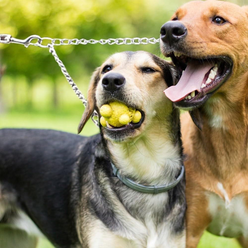 Thumbnail 6 de Metal Double Dog Leash Coupler – 2 Way No Tangle, 360° Swivel for Two Dogs