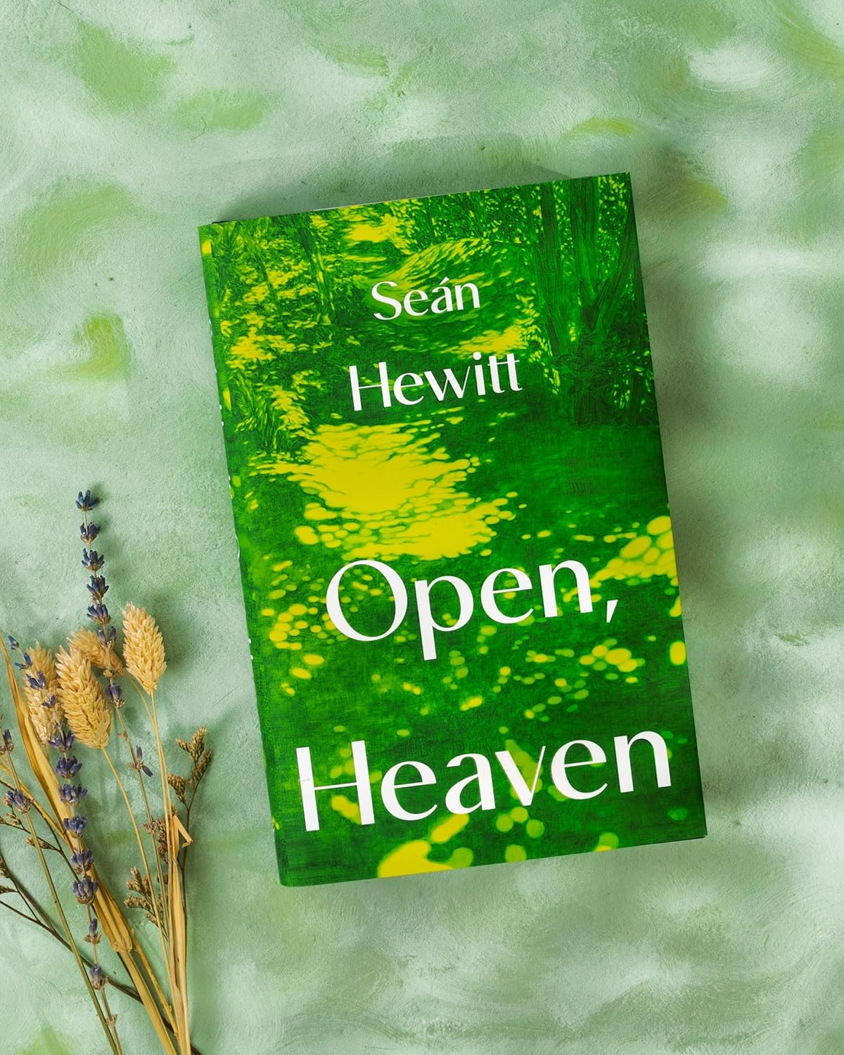 Detalle 2 de Open, Heaven – roman over de invloed van een eerste liefde, 240 pagina’s