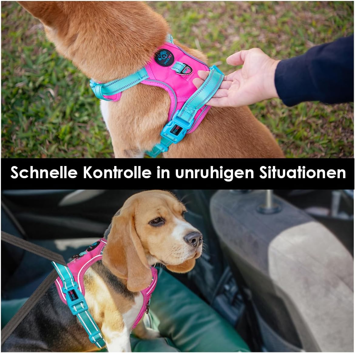 Thumbnail 4 de PHOEPET Anti-Zug Hundegeschirr mit Schnellverschluss, reflektierend und verstellbar (S/Pinke Basis & grüne Träger)