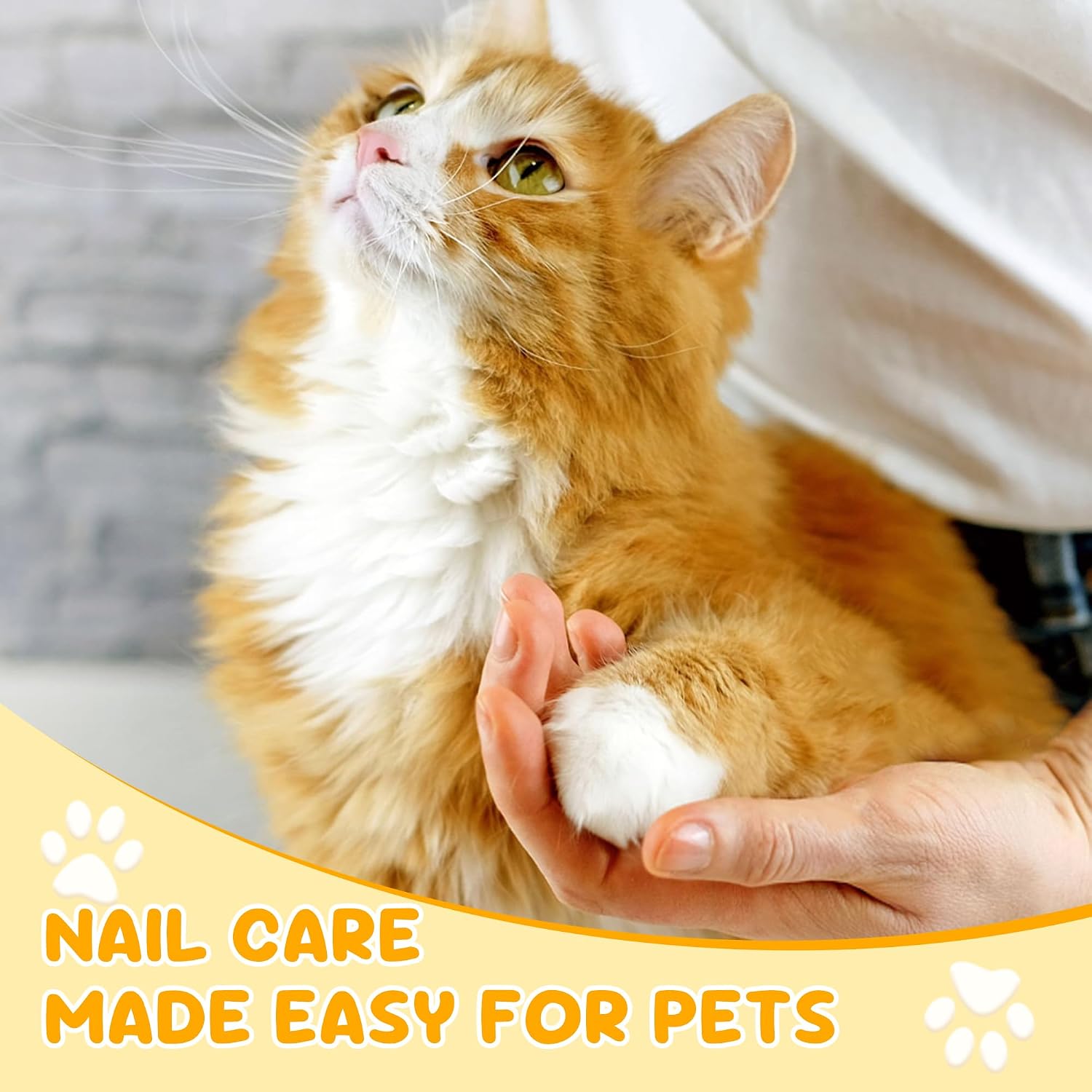 Thumbnail 6 de Cat Nail Clippers: Stainless Steel Claw Clippers for Cats, Kitten, and Small Pets