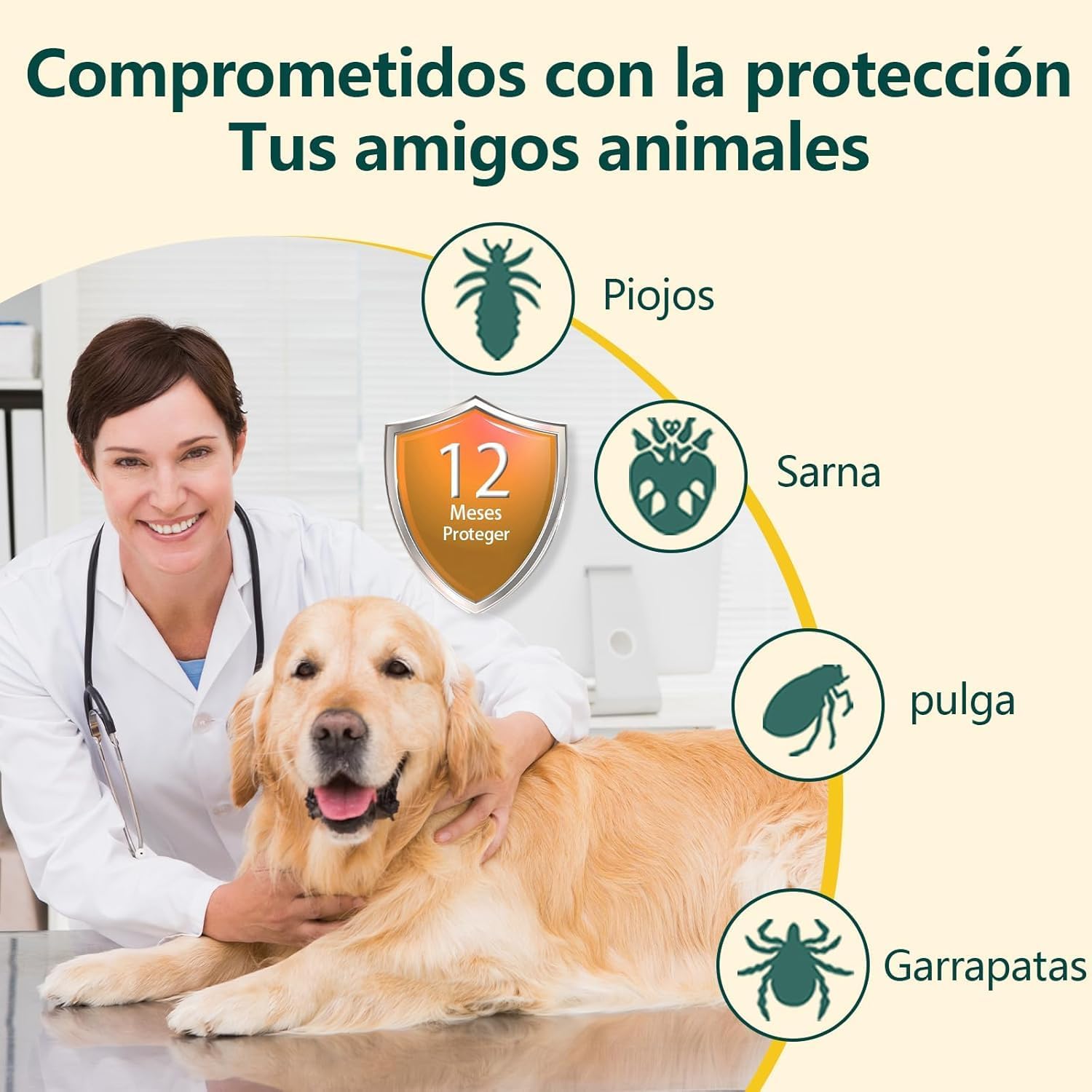 Detalle de Collar Antiparasitario para Perros Asticers (65 cm) – Protección de pulgas y garrapatas hasta 24 meses