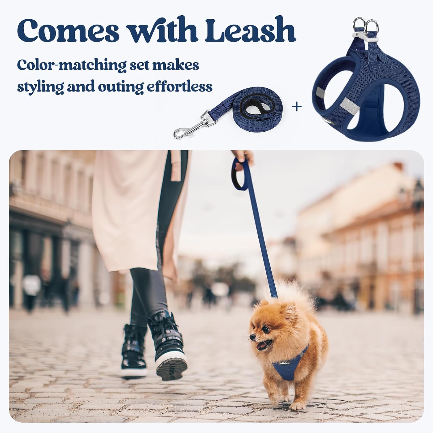 Thumbnail 5 de rabbitgoo Small Dog Harness and Lead Set (XXS) – Step-in Mesh Harness with 1.5m Lead in Navy