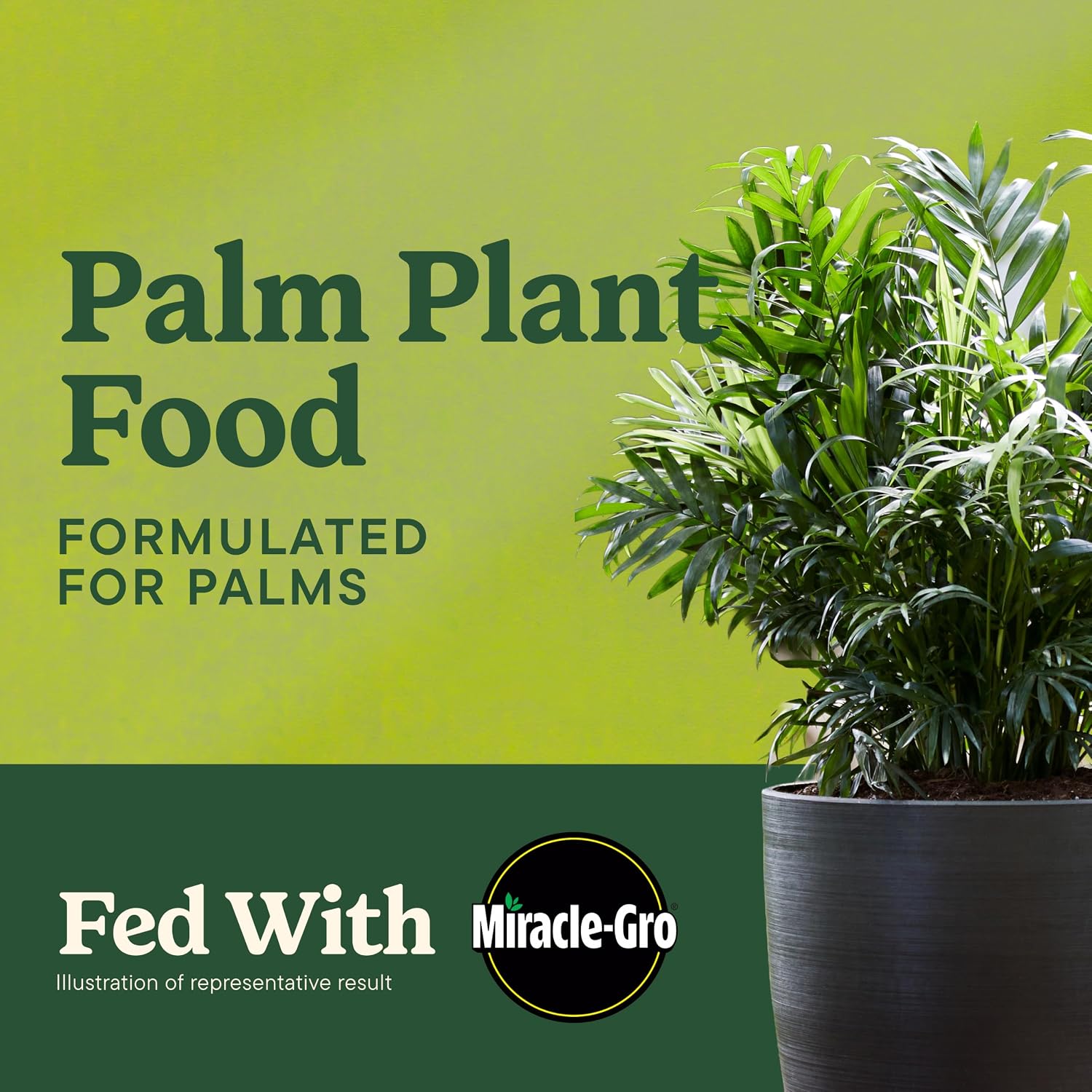 Detalle de Miracle-Gro 3002910 Shake 'N Feed Palm Plant Food, 4.5 lb. Powder