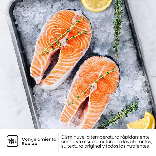 Thumbnail 8 de Hisense MC60331IE: Frigorífico combi No Frost de 336 L, 200 cm de alto y fondo reducido