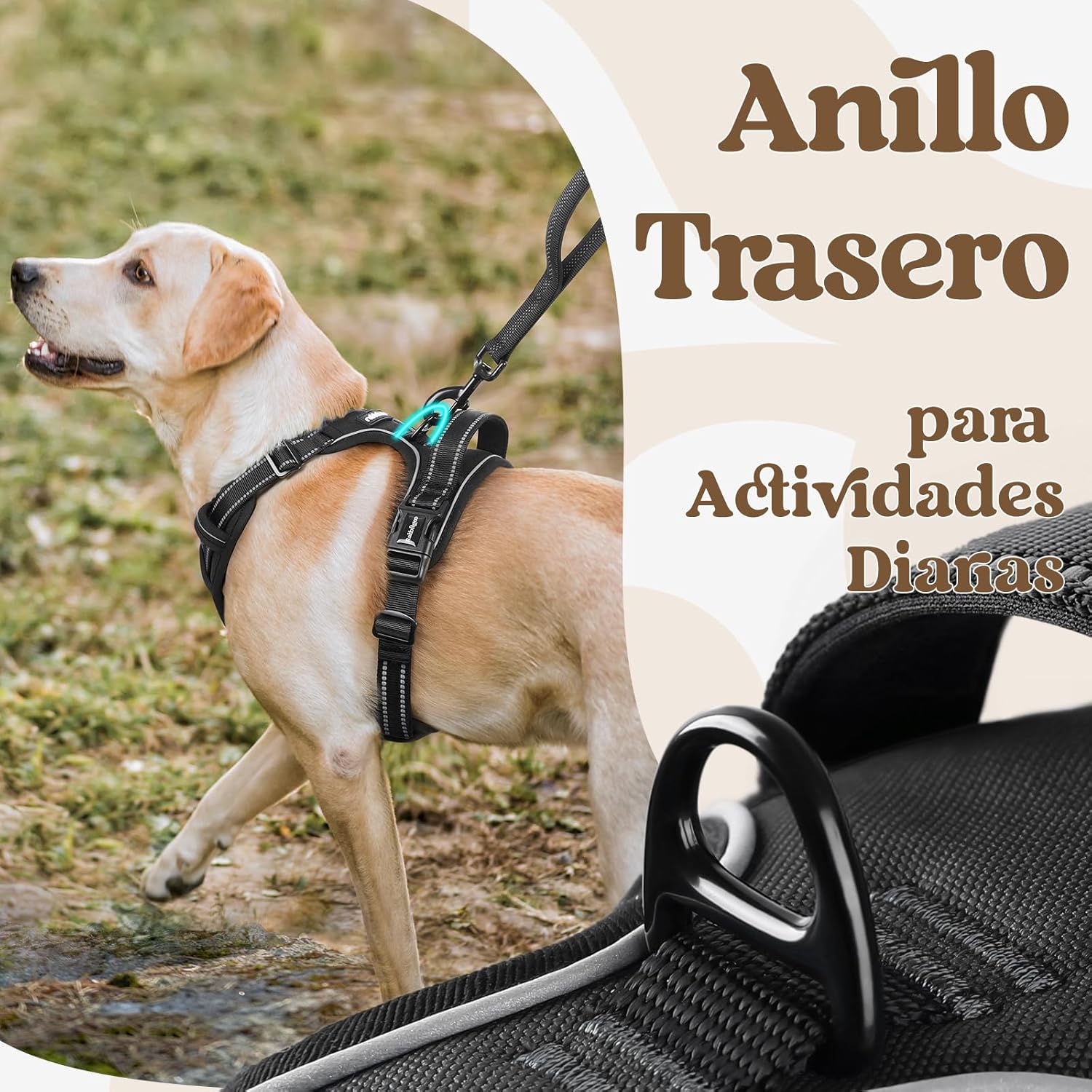 Thumbnail 6 de rabbitgoo Arnés Perro Mediano 3 Hebillas L
