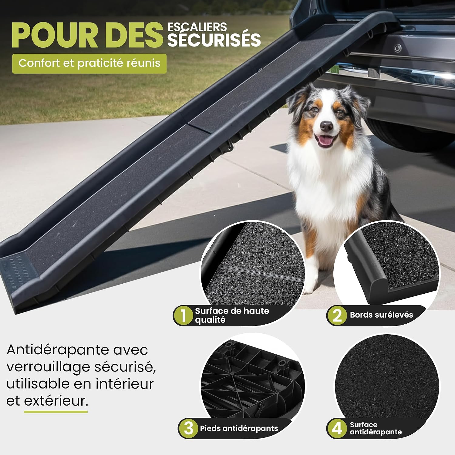 Detalle de all Pets United Rampe pour Chien Pliable – Accès Coffre Voiture