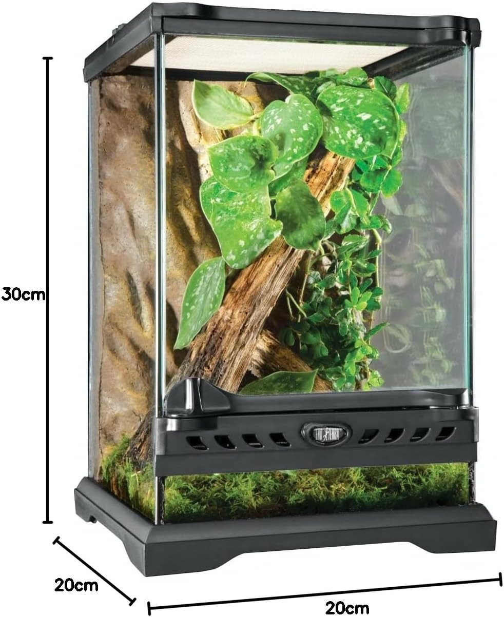Detalle 2 de Exoterra Terrarium en Verre pour Reptiles et Amphibiens 20 x 20 x 30 cm