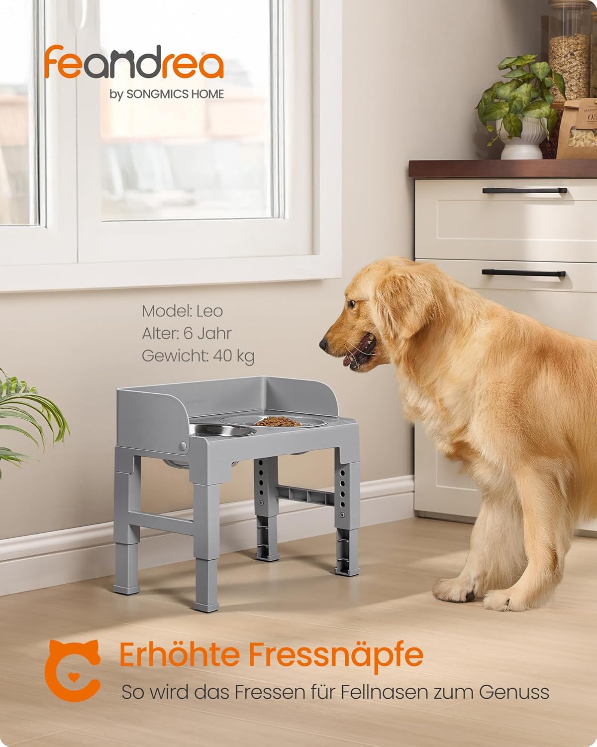 Detalle 2 de Feandrea PRB103GD01 höhenverstellbar 30 cm
