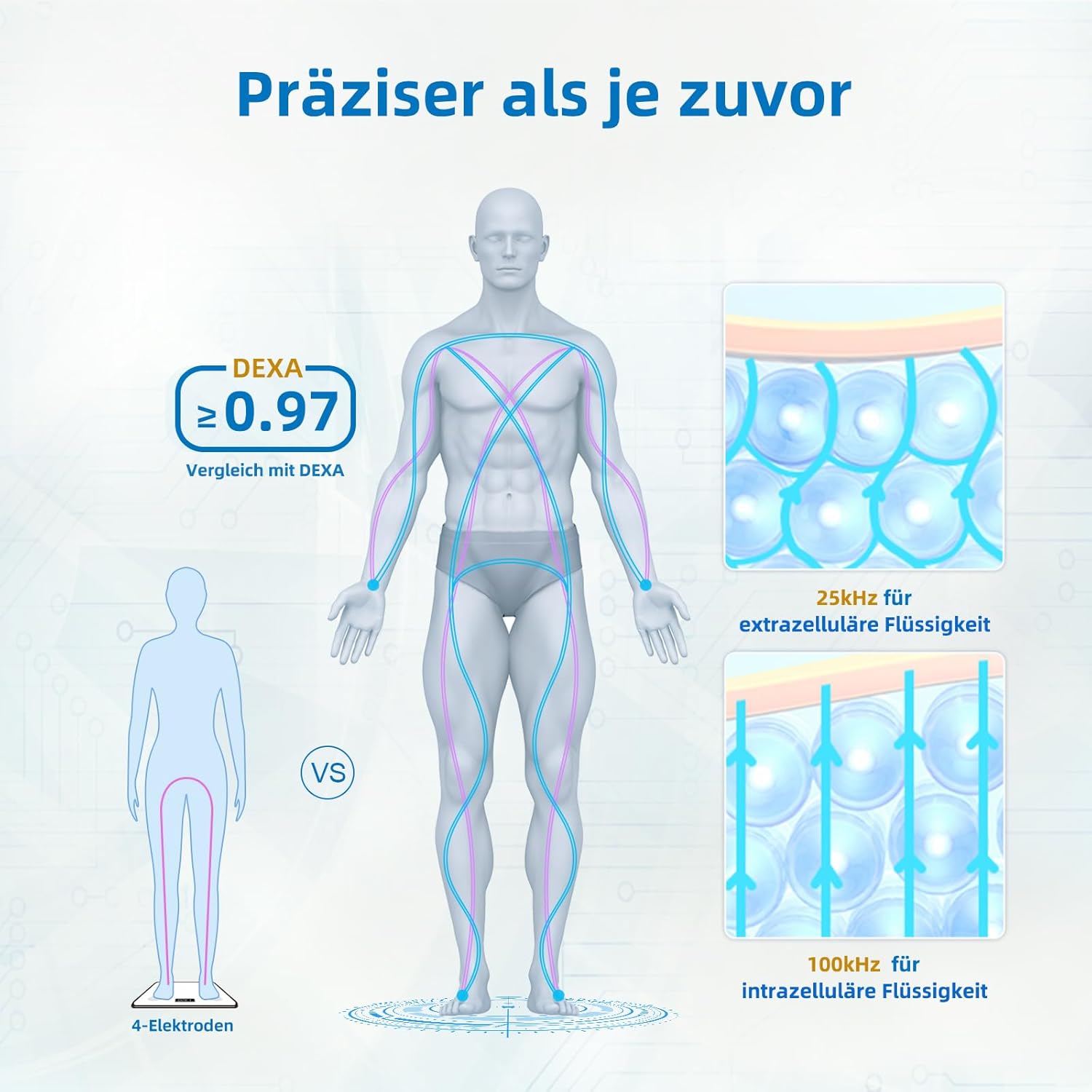 Thumbnail 3 de Lepulse P1 Körperanalysewaage mit Handsensoren (Körperfett, Muskelmasse, App) – Schwarz