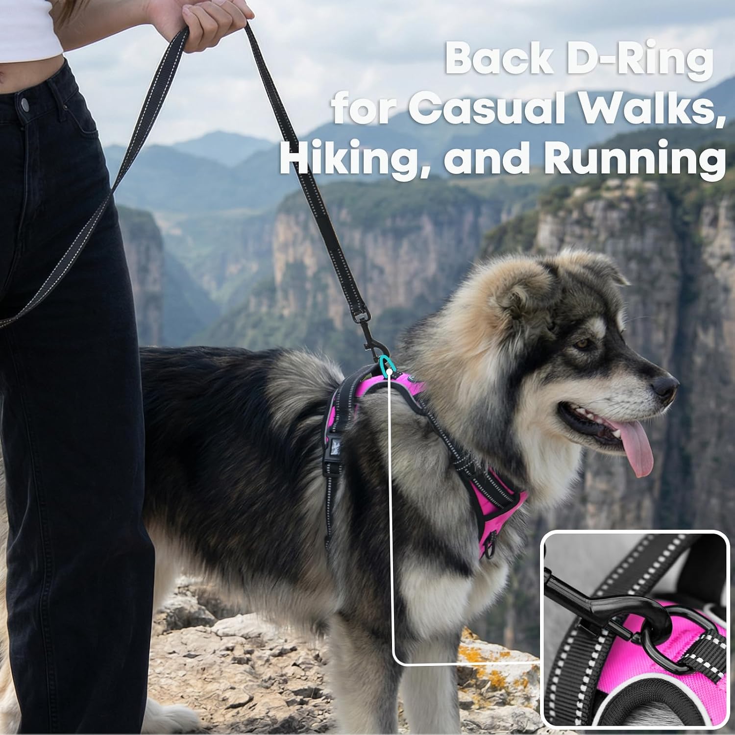 Thumbnail 3 de PoyPet No Pull Dog Harness – Reflective Vest with Dual Leash Attachments and Easy Control Handle (Hot Pink, Size M)
