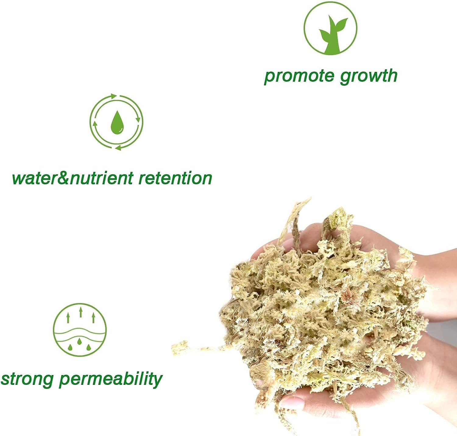 Thumbnail 2 de Halatoo Sphagnum Moos 170 g für Orchideen und Pflanzen