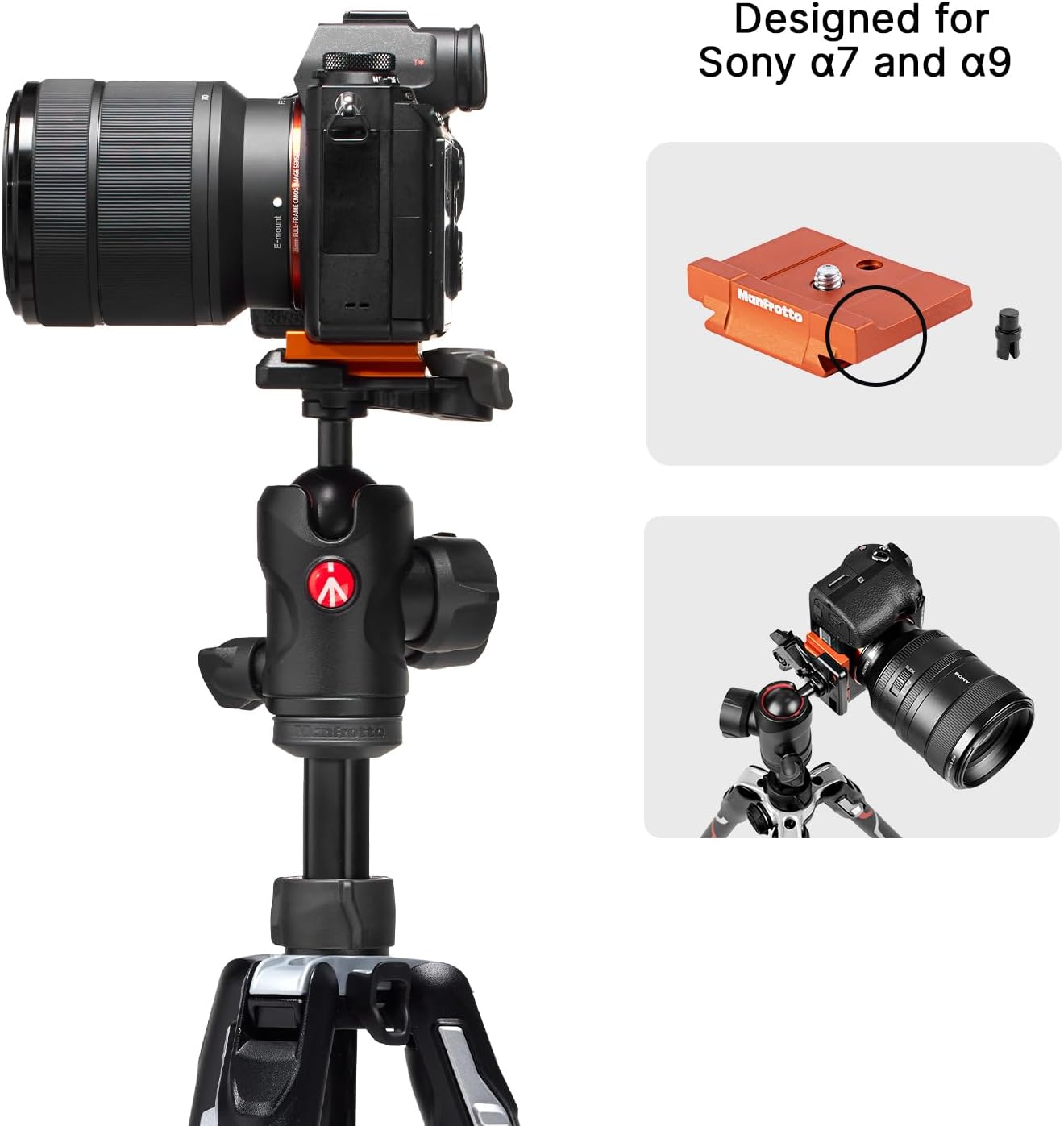 Detalle de Manfrotto Befree GT Pro Travel Tripod avec Rotule et Sac — Compatible Sony α7/α9