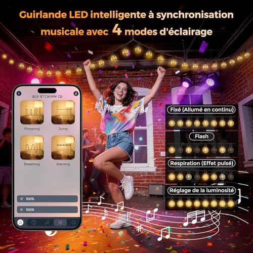 Detalle de Guirlande Lumineuse Exterieure 33,3M - G40 LED avec App & Télécommande par Roravilila