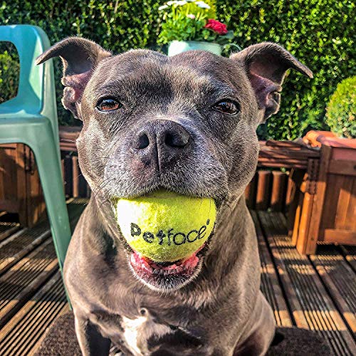 Detalle de Petface Super Tennis Balls For Dogs – Pack of 12