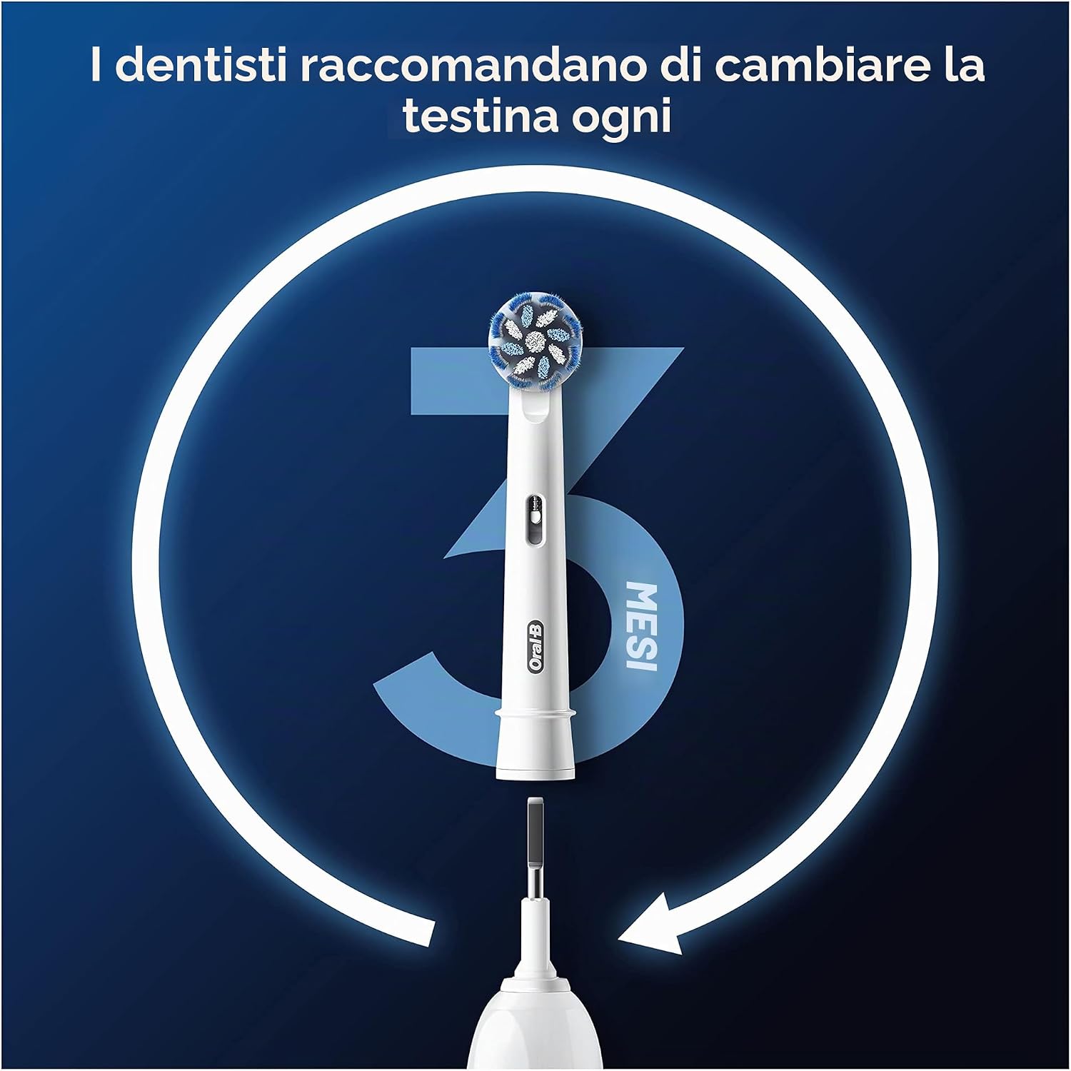 Detalle de Oral-B Testine di Ricambio per Spazzolino Elettrico Sensitive Clean - 12 Testine (Adatta alla Buca Delle Lettere)