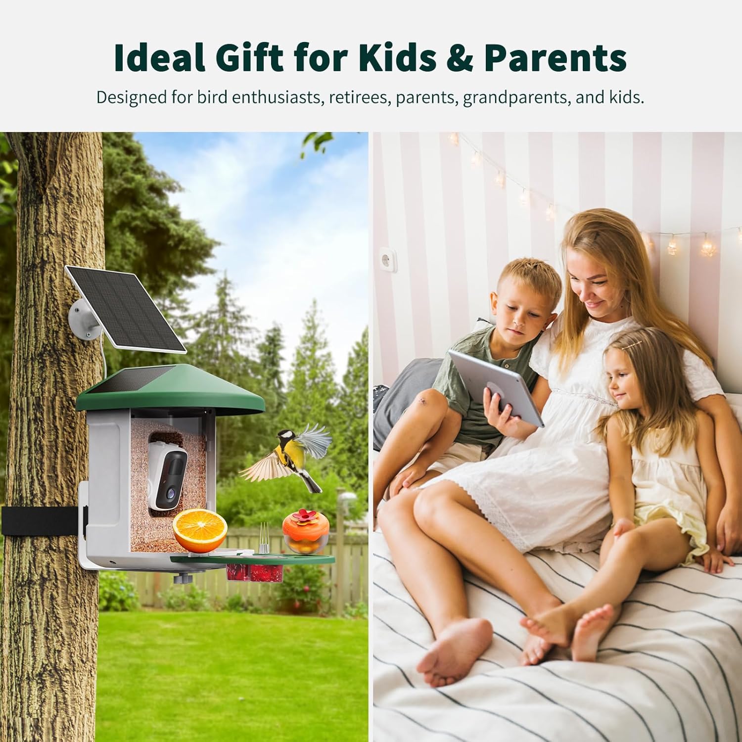 Detalle 1 de HARYMOR Smart Bird Feeder Camera, 2L