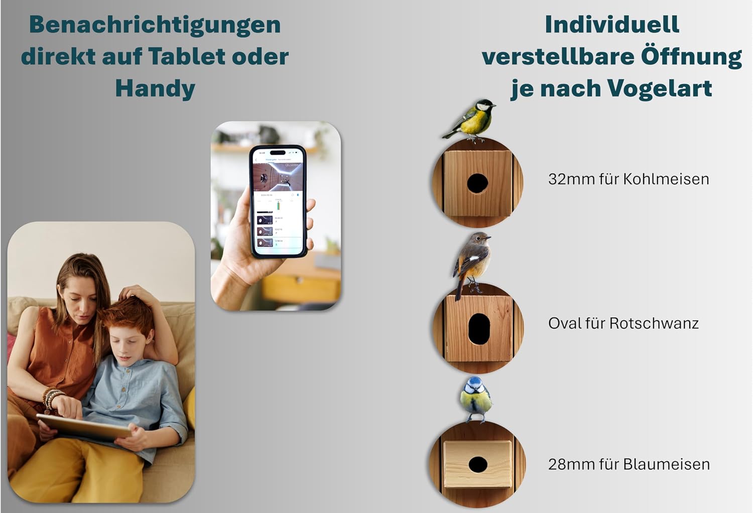 Detalle 2 de Vogelnistkasten mit Kamera Live Stream 3 MP