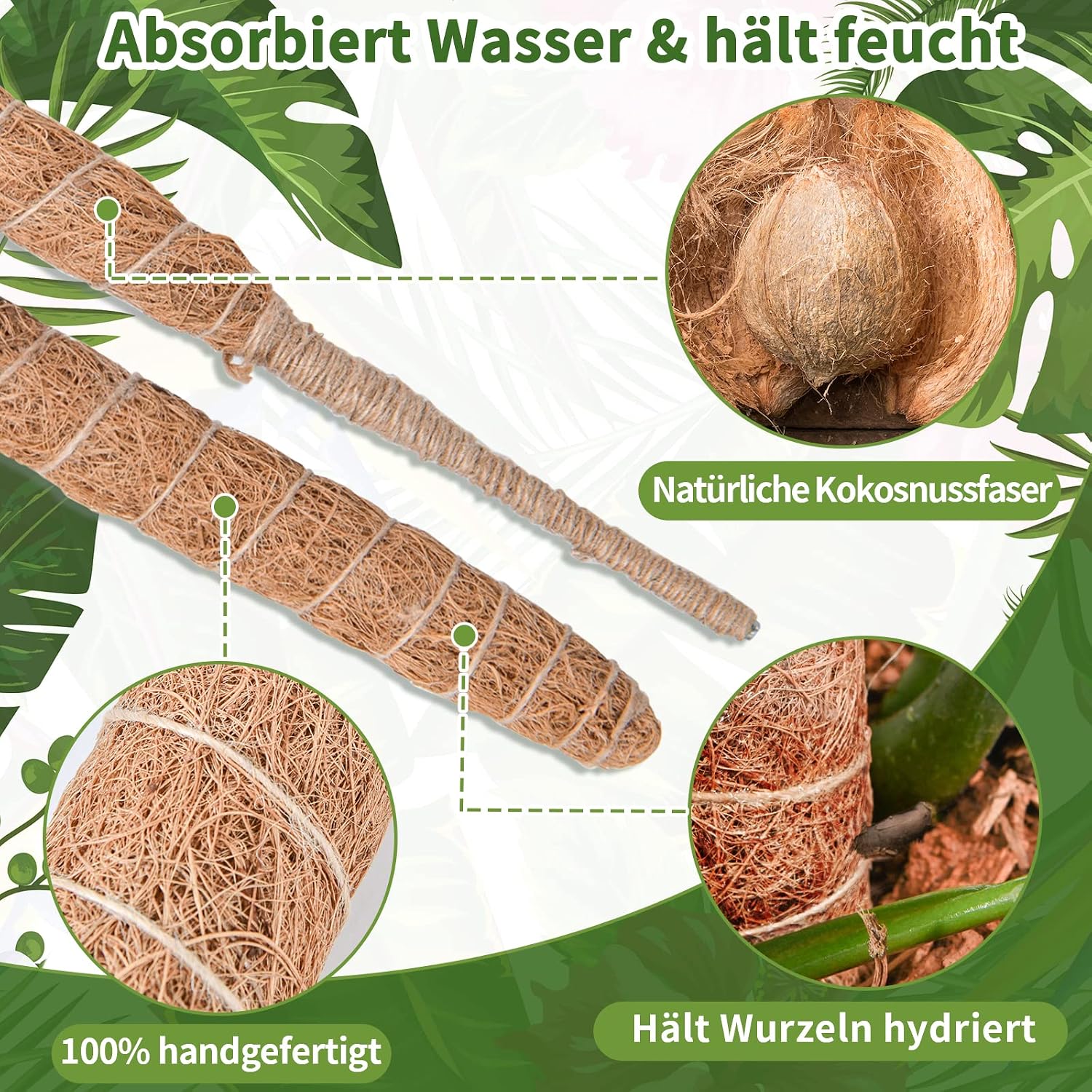 Detalle 2 de Moosstab Monstera von SproutMaven – 2 × 60 cm biegsamer Kokosstab mit Zubehör