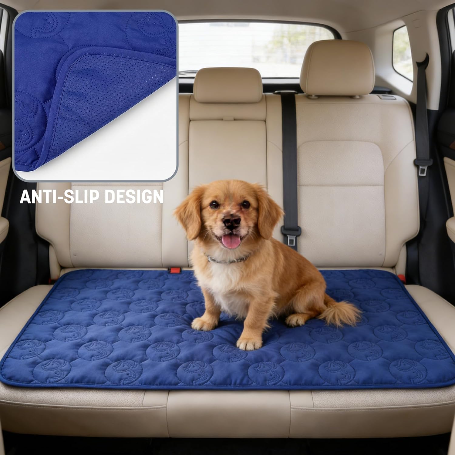 Thumbnail 3 de Pawsee Coperta impermeabile per cani 125 x 75 cm: copridivano lavabile antiscivolo