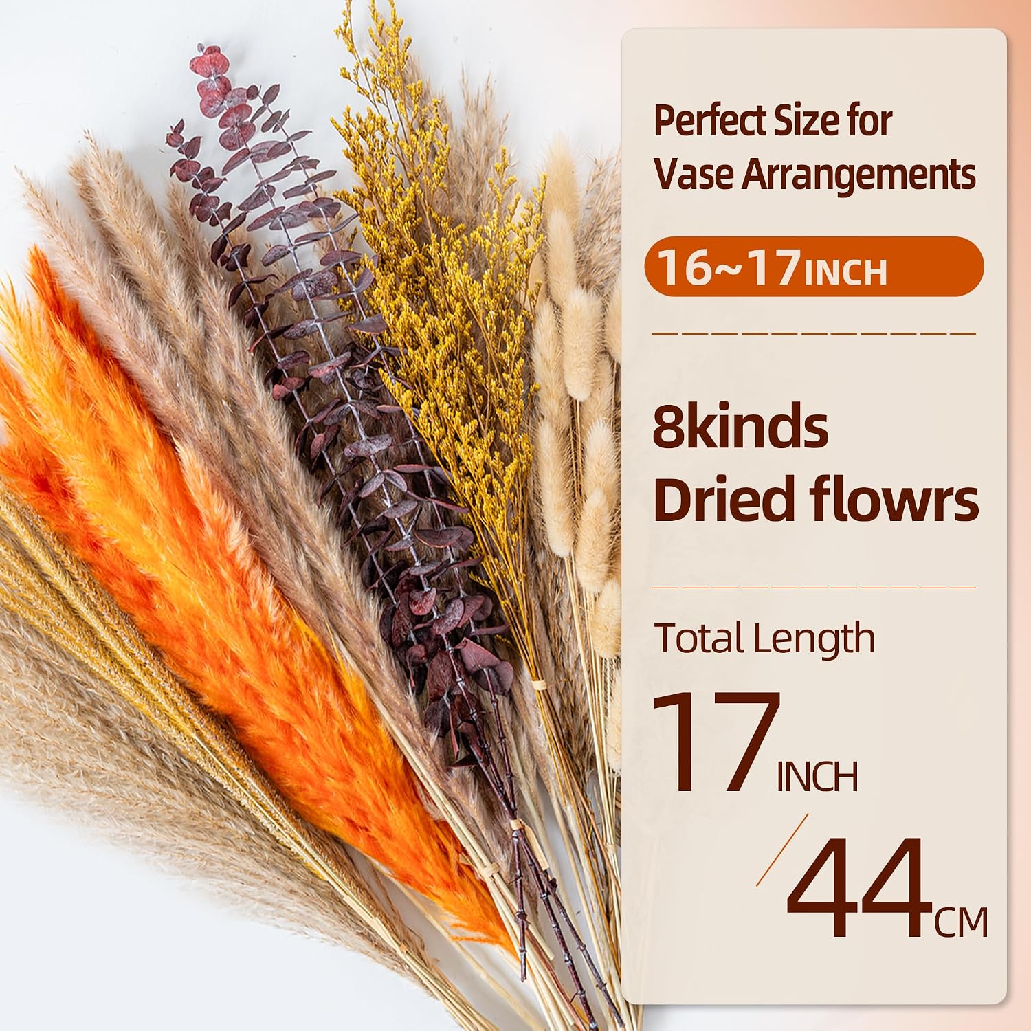 Thumbnail 1 de Dried Pampas Grass Bouquet, 15–17 Inches