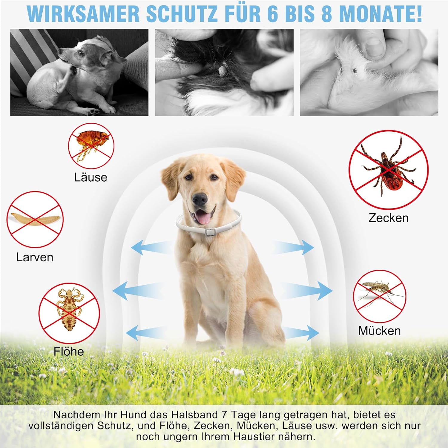 Detalle de DEWEL Zeckenhalsband für Hunde – wasserdicht, verstellbar (bis 63,5 cm) mit ätherischen Ölen – Schutz für 8 Monate (weiß)
