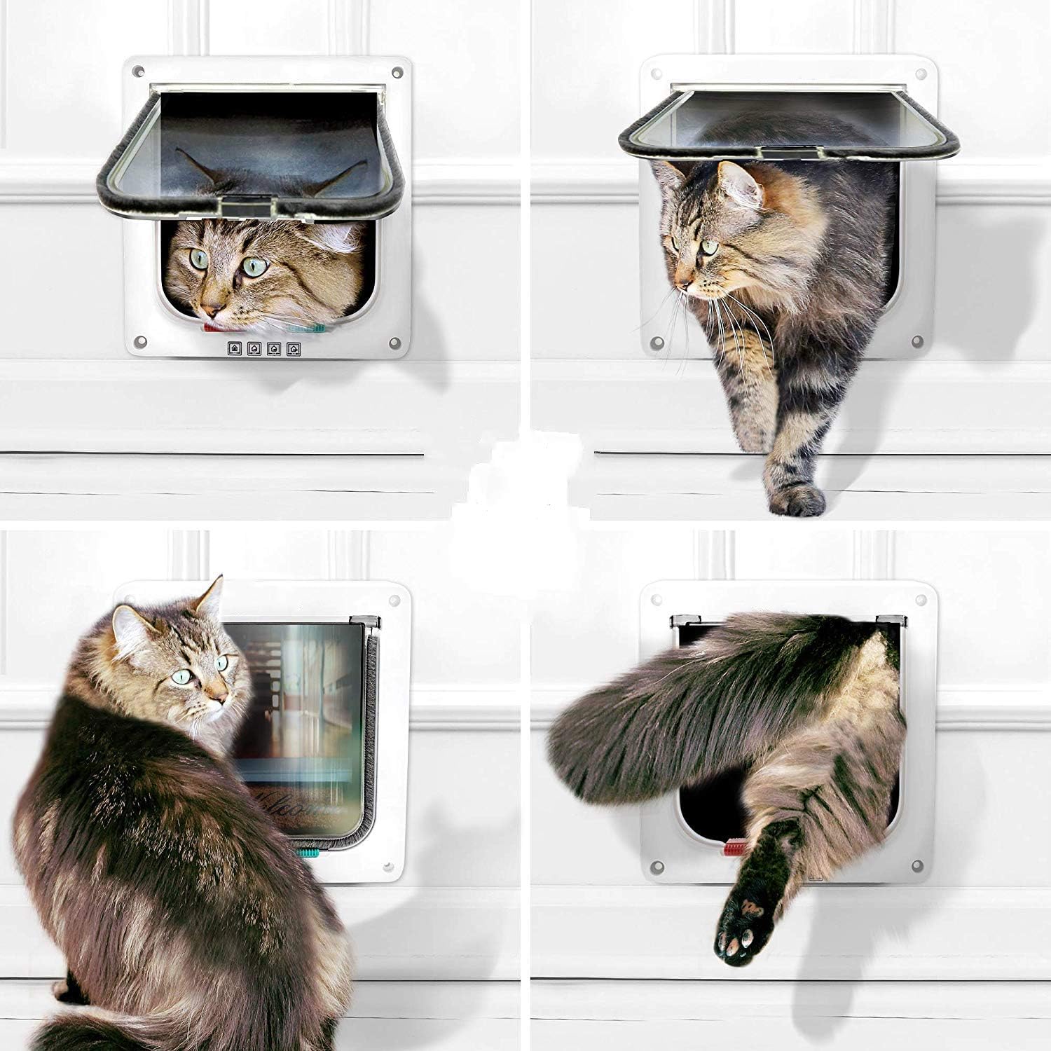 Thumbnail 4 de Sailnovo Sportello magnetico 23,5x25 cm 🐾