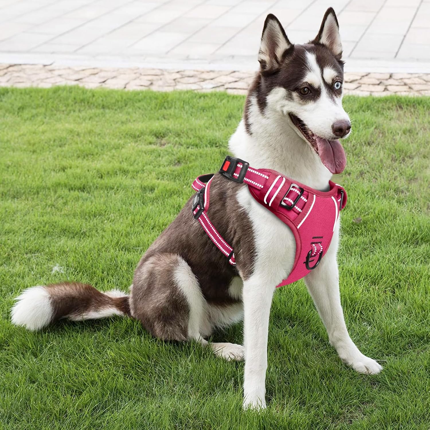 Detalle de HEELE Hundegeschirr Gr. L – verstellbares Brustgeschirr mit reflektierenden Streifen, Quick-Snap-Verschluss, offener Halsbereich, Fuchsia