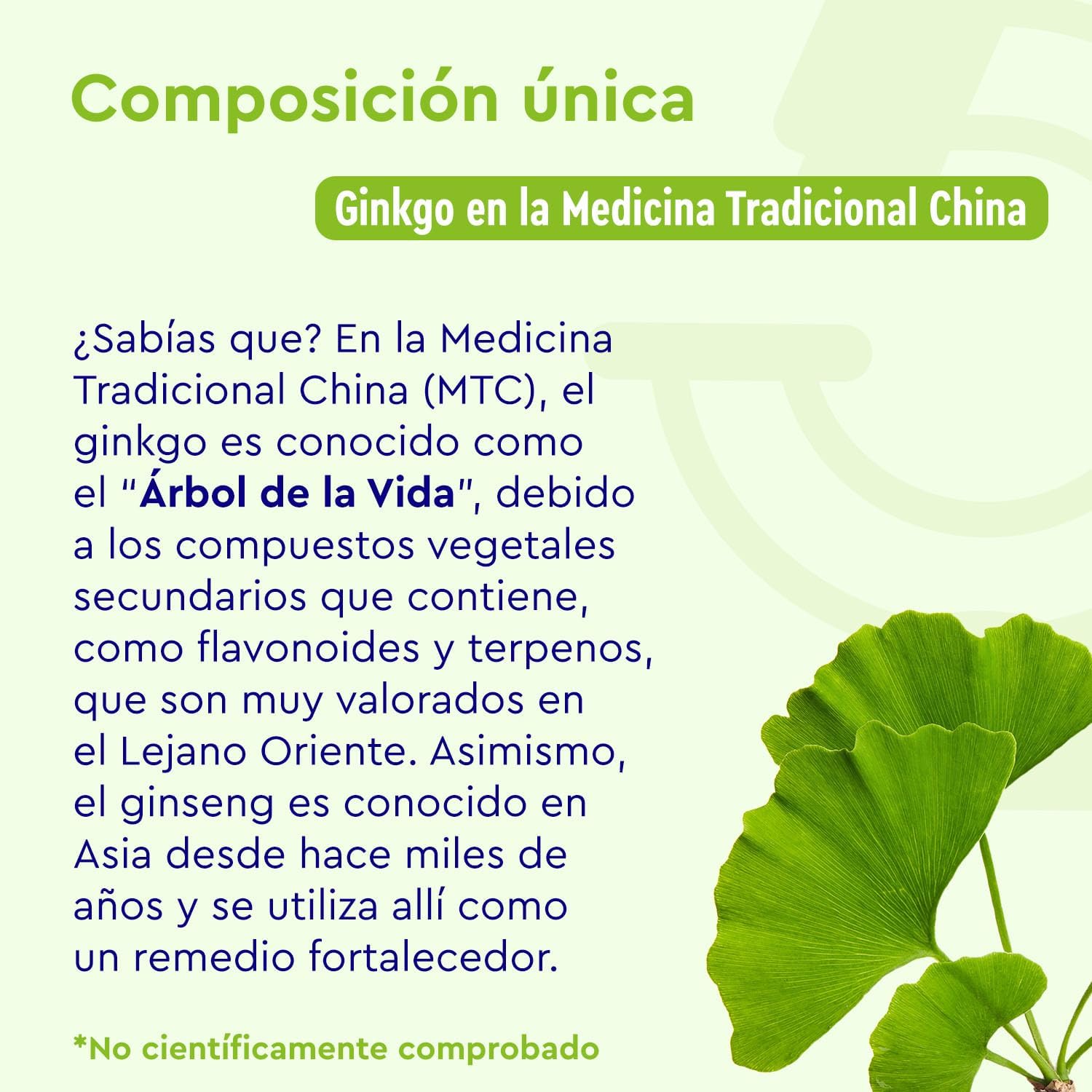Thumbnail 4 de Ginkgo + Ginseng 365 tabletas Suplemento vegetal