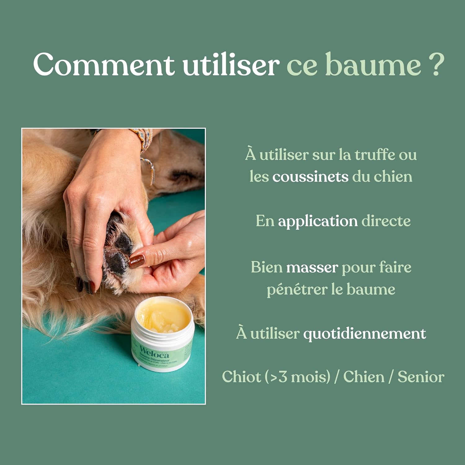 Thumbnail 5 de Baume Coussinet chien – Répare, hydrate et protège les coussinets et la truffe, 50 ml, 100% naturel