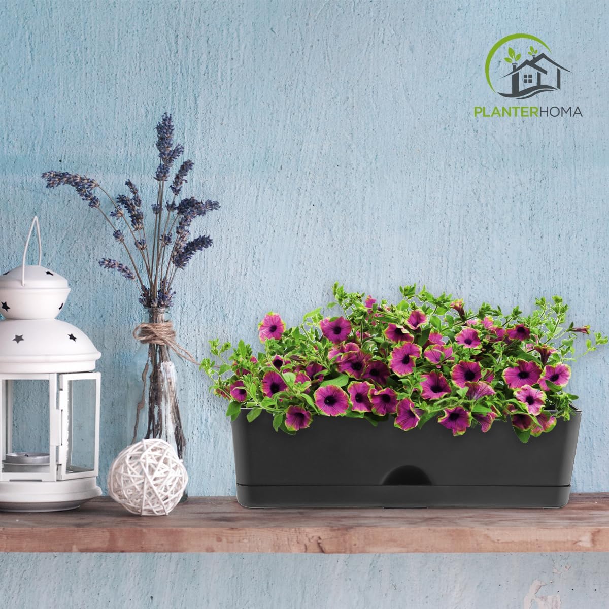 Detalle 1 de Planterhoma rechthoekige plantenbakken, set van 5, 40,6 cm, zwart kunststof