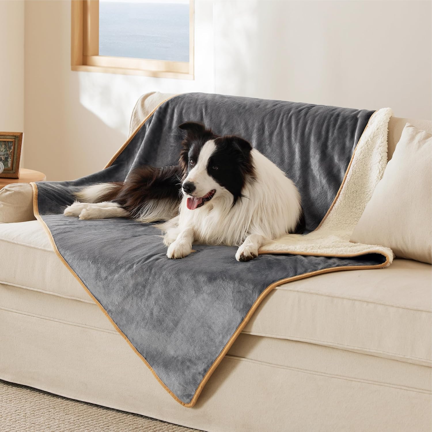 Thumbnail 3 de LE SURE Coperta impermeabile doppia faccia per cani e gatti 127x152 cm, grigio