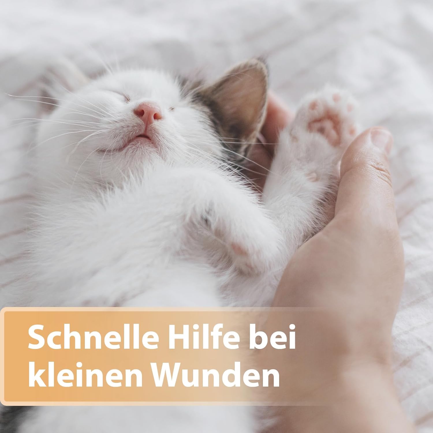 Detalle de Felisept Wundspray für Katzen 75 ml – schonende Wundpflege ohne Schmerz