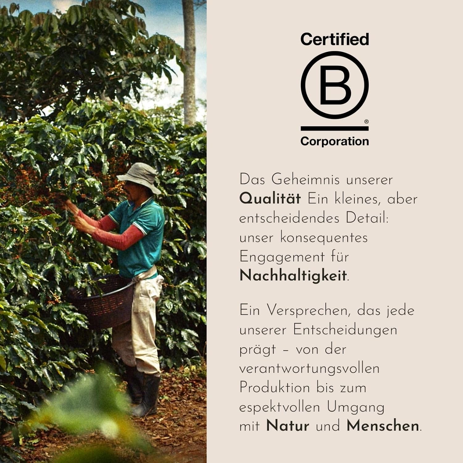 Detalle de illy Gemahlener Filterkaffee INTENSO – 250 g, 100% Arabica, Kakao-Noten