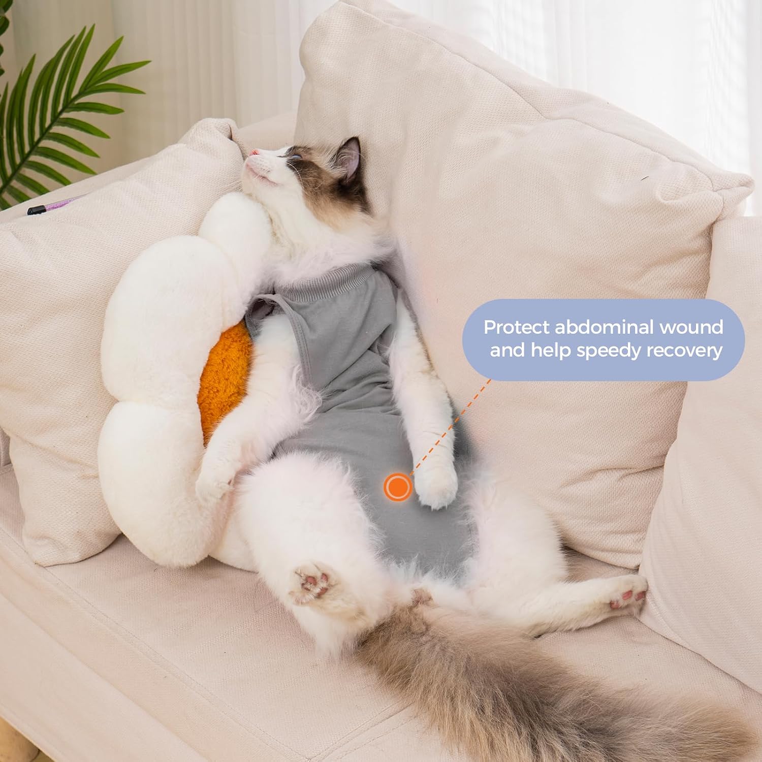 Detalle 2 de Cat recovery suit for spayed females